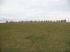 img_3712 img_3712