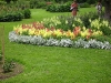 img_3732 img_3732