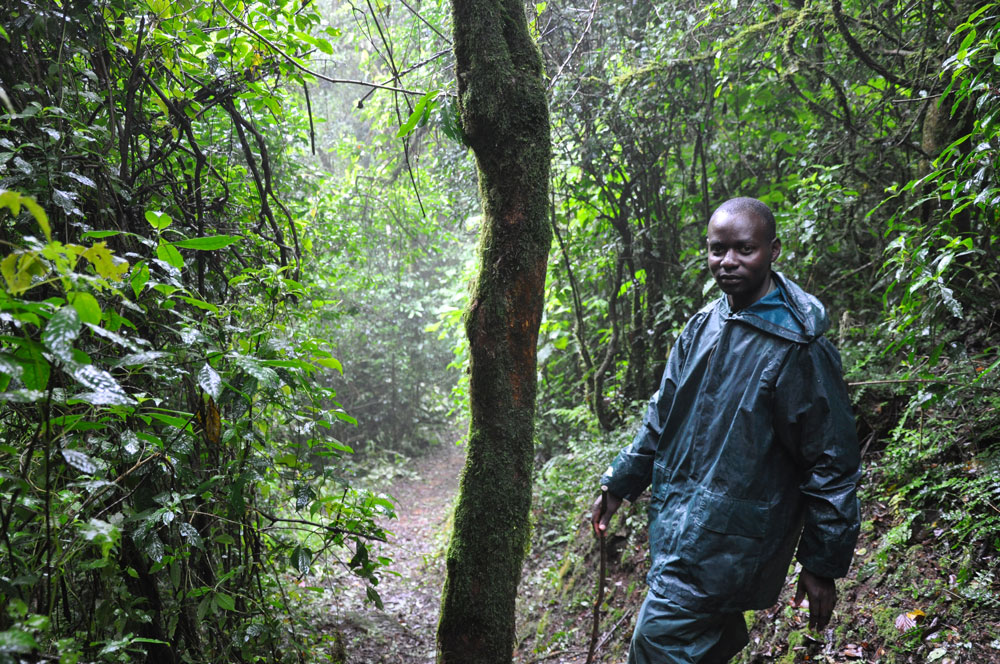 Min guide, Christoffer när jag gick tretimmars turen i regnskogen