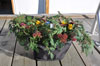 Pappas urna omgiven av blommor